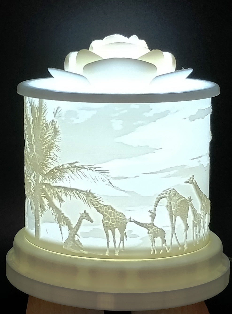 3D Kerzenlicht Panorama Afrika Giraffen